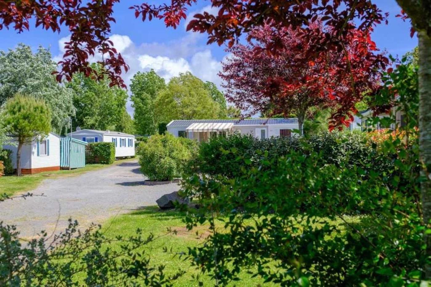 4 Etoiles - Piscine - Efceih *